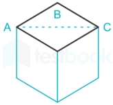 Basic Science and Engineering 31 5Q hindi - Final -Upload images Q1