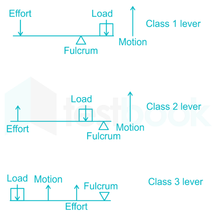 Is a fishing rod a 1 class lever or 3 class lever? What is the