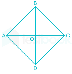 The diagonals of a rhombus are of length 20 cm and 48 cm. What is