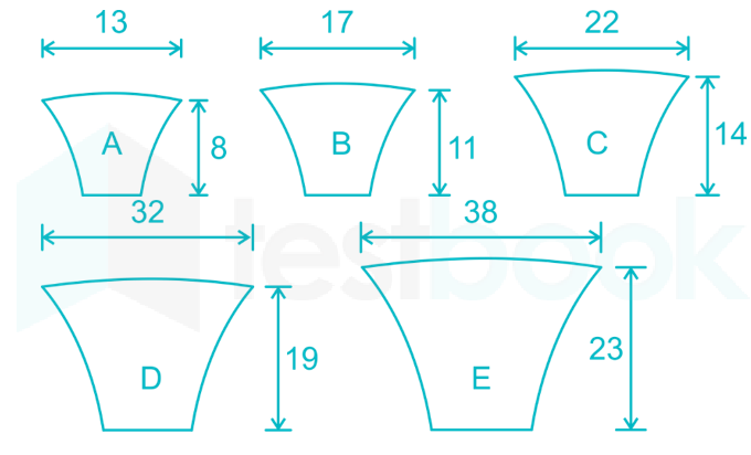 What do belt section designations mean for ribbed V-belts?