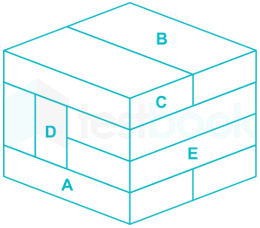 ALP CBT 3 Bricks Test FT 2 images Q9