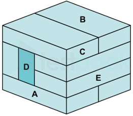 ALP CBT 3 Bricks Test FT 2 images Q9E