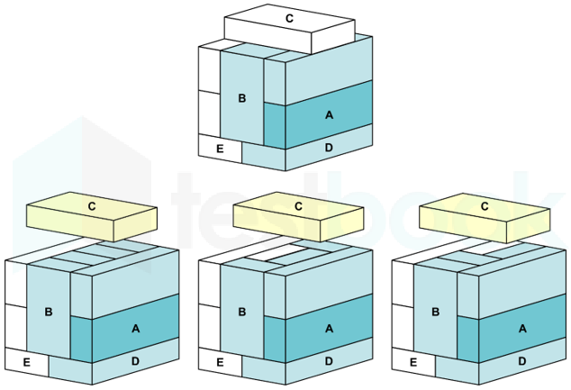 ALP CBT 3 Bricks Test FT 3 (set 1) 10