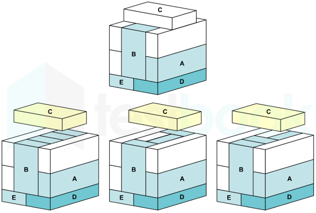 ALP CBT 3 Bricks Test FT 3 (set 1) 13