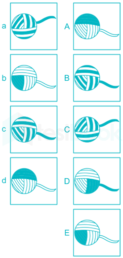 ALP CBT3 Psycho Test Similarity Test Set 1 Nita IMAGES q8