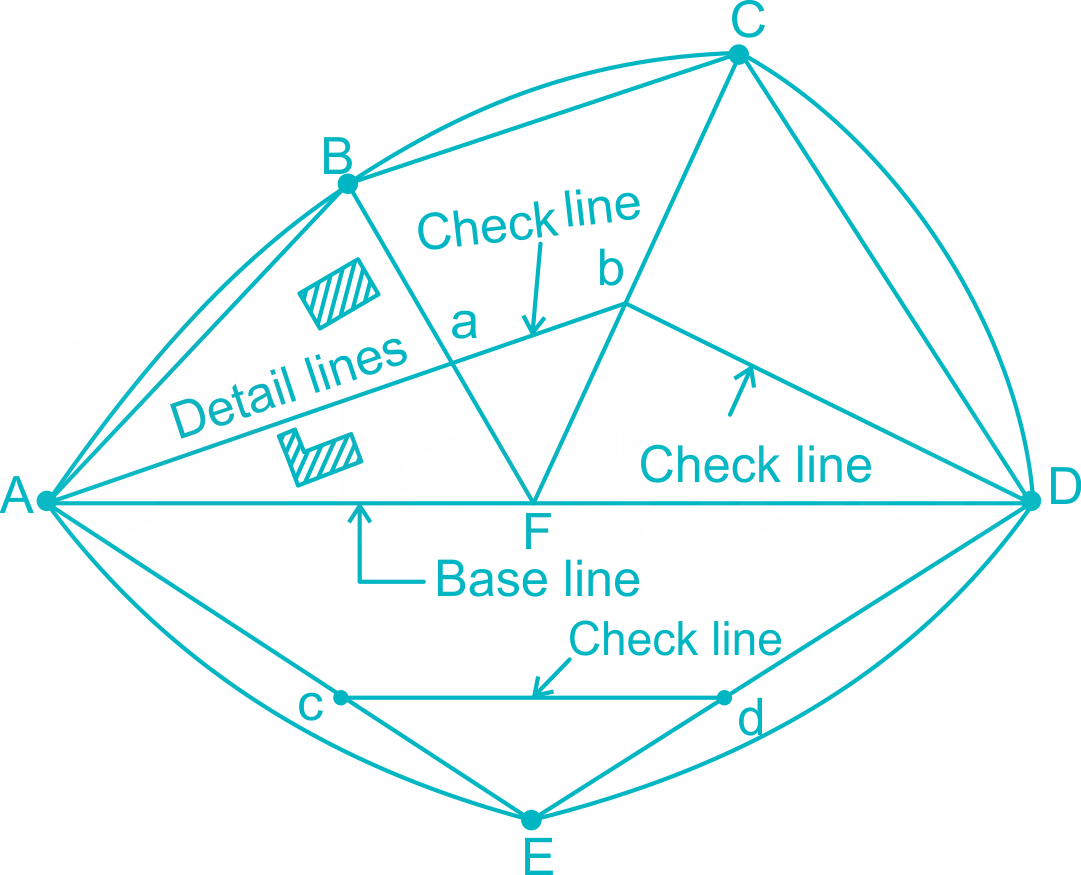 Solved] Identify the biggest (or longest) of the main survey lines i