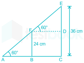 The top of two poles of height 24 cm and 36 cm are connected with