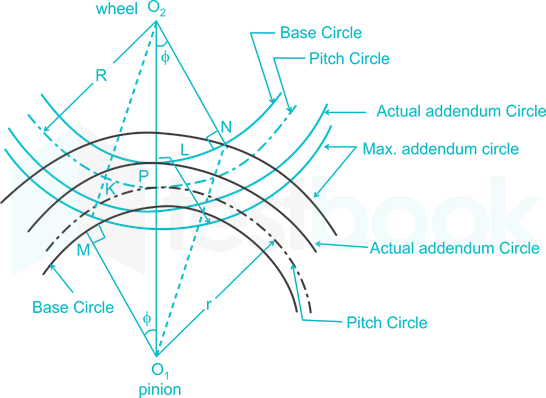 Contact between gear teeth: (a) two pairs engagement (b) one pair