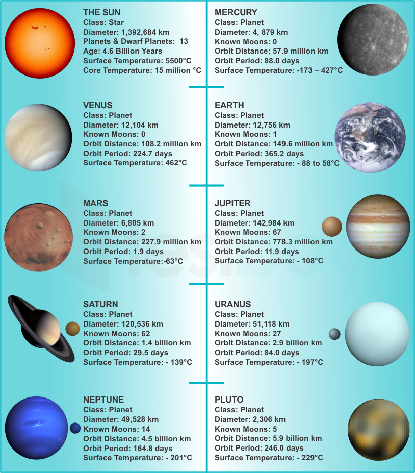 [Solved] Which of the following are called terrestrial