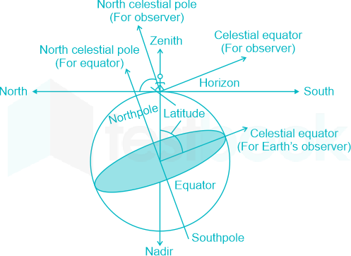 Solved] The most fundamental line in Surveying is.