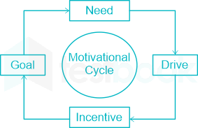 Which is the first phase of motivational cycle?