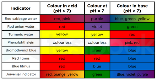 Solved A Basic Solution Changes The Colour Of Turmeric Indicator Fr