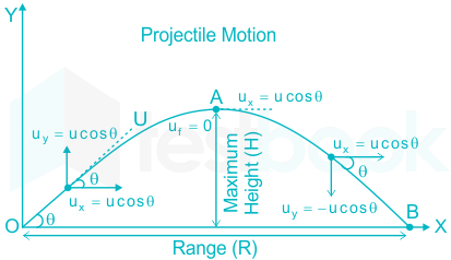 Projectile Motion: Finding the Maximum Height and the Range 