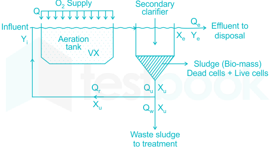 Exam Study Guide: Activated Sludge…