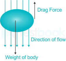 When the drag force becomes equal to the weight of the body, the 