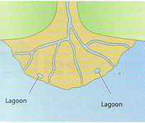 NDA QUESTION D15