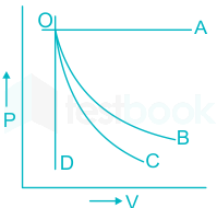 Why is Adiabatic Curve steeper than Isothermal Curve 