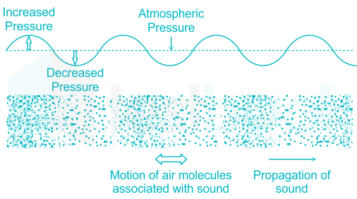 If the direction of the vibration of particles is parallel to the