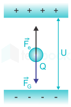 F2 J.K 14.8.20 Pallavi D3