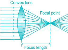 [Solved] An object is placed on the principal axis of a convex lens a