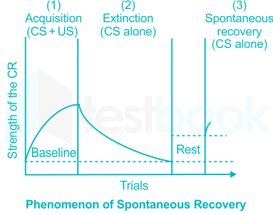 The process by which a C.R can be weakened and finally eliminated