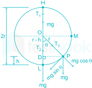 simple harmonic motion uniform circular motion examples