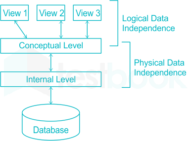 relational database example are mcq