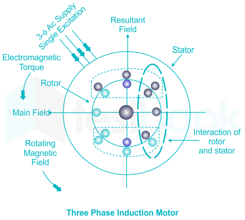 Three-Phase Induction Motor Solution