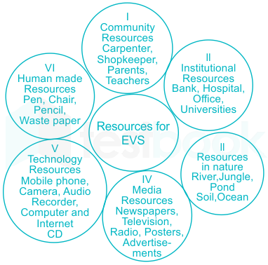 EVS Full Form : EVS Teaching Method, EVS and its Importance 