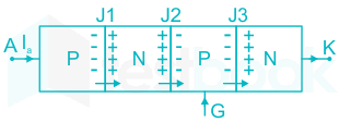 F1 U.B 20.6.20 Pallavi D10