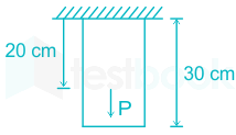 An elastic rod, 30 cm long, of negligible weight, hangs downwards