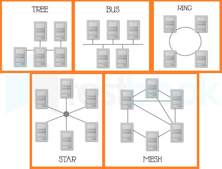 Network-Topology