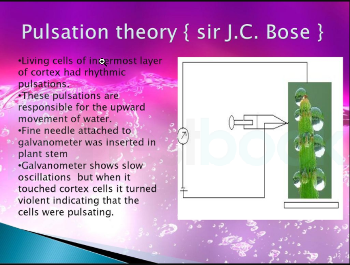 Pulsation Theory