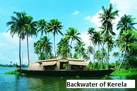 kerala-backwater