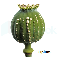 opium