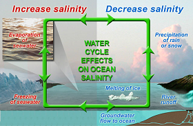 salinity rainfall