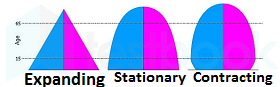 type of population pyramid