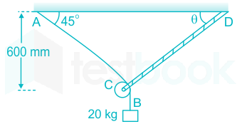 F1 Ateeb 19.1.21 Pallavi D 9