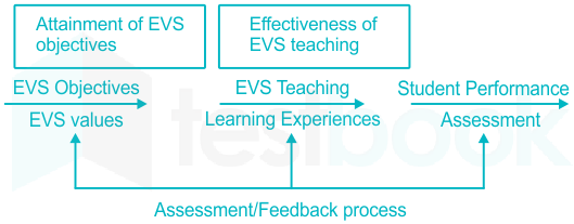 EVS Full Form : EVS Teaching Method, EVS and its Importance 