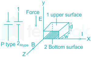 F1 Tapesh Anil 20.01.21 D21