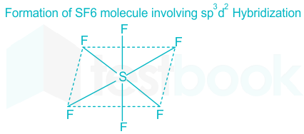 F1 Utkarsha 15.1.21 Pallavi D28