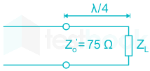 F1 Tapesh Anil 25.02.21 D15