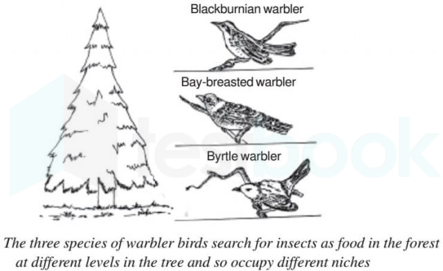 ecological-niche-1-640x392