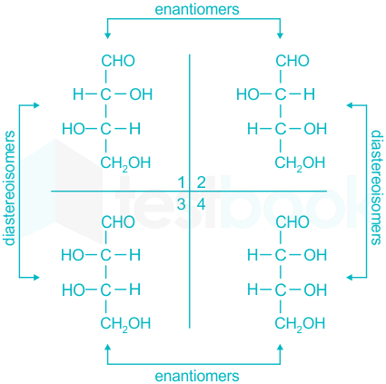 mannose vs glucose