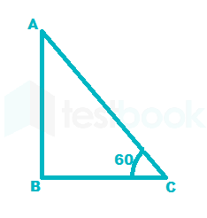 right triangle 4