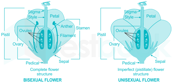 F1 Hemant Agarwal 15-05 2021 Swati D2