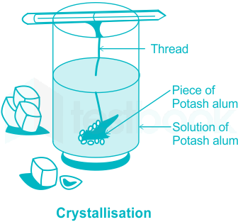 preparation of potash alum in lab