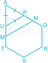 F1 Ravi Ravi 29.04.21 D1