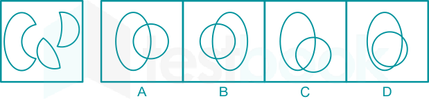 LMRC Figure Association Test (Ex. 1) Madhu Qs 1