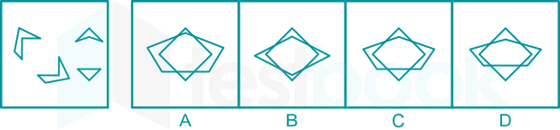 LMRC Figure Association Test (Ex. 4) Madhuri Qs 10